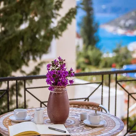 Sue * Kalkan