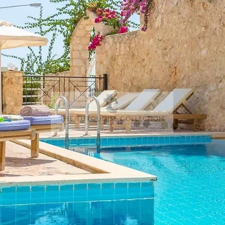 Sue * Kalkan